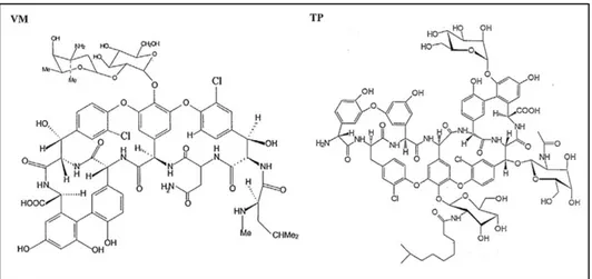 Figure 16 : La structure chimique de vancomycine (VM) et teicoplanine (TP) [69]. 