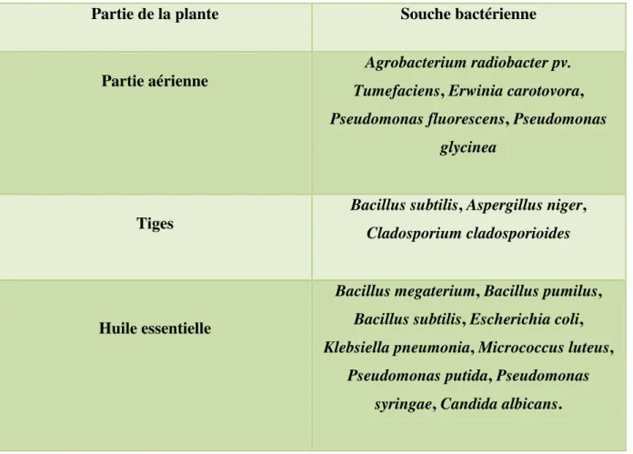 Tableau 04 : Principales souches bactériennes sensibles aux extraits de fenouil  (Singh et al.,  2006 ; Taie et al., 2013 )
