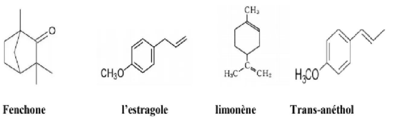 Figure 04: Les structures moléculaires des composants bioactifs principaux d'huile   essentielle du Foeniculum vulgare (Rather et al., 2012 ; Couic-marinier&amp; Lobstein, 2013)