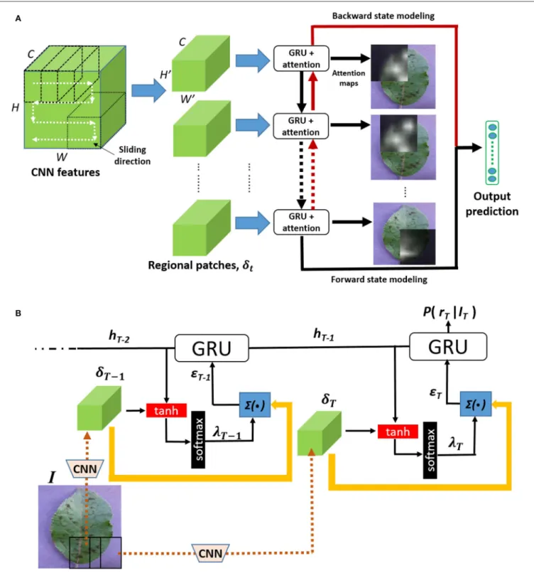 FIGURE 2 | The proposed architecture: from an image of a contaminated plant, feature maps are first extracted from a given convolutional layer of a pre-trained CNN.