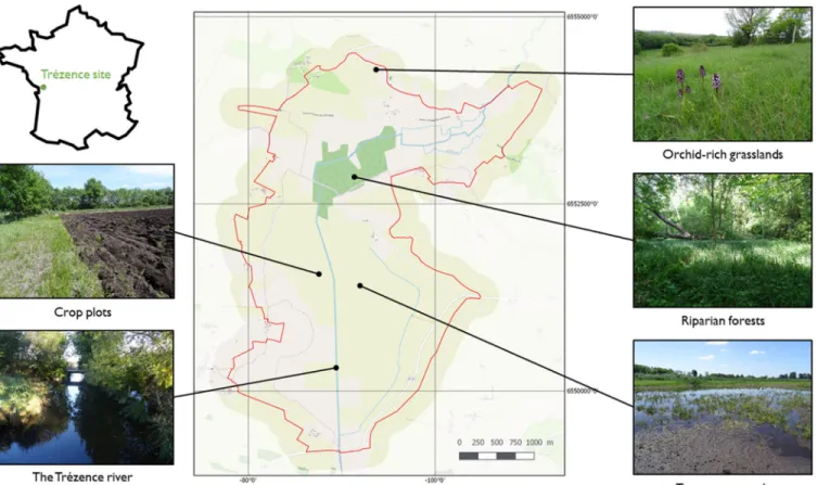 Figure 2. The Trézence site.