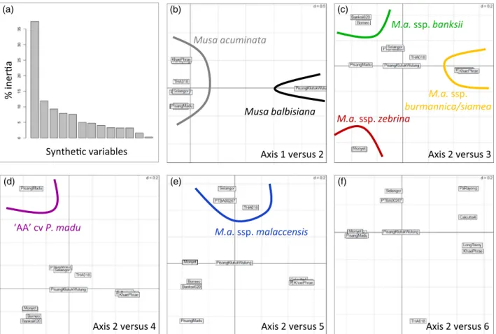 Figure 2. Factorial analysis performed on diploid accessions representing six ancestries