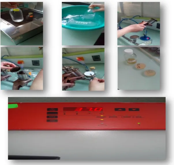 Figure 27: Etapes d’analyse bactériologiques de la recherche des Clostridium.(Auteurs, 2019) 