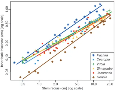 Fig. 2.  Allometric relationship between inner bark thickness and stem  radius in six tropical tree species in the tropical rainforest of French Guiana