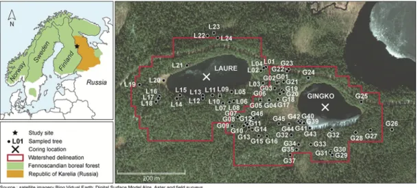 Figure 2.  Location of lakes and trees sampled in Kalevala National Park (Republic of Karelia, Russia)