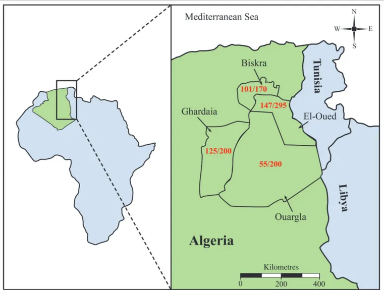 FIGURE 1: Distribution of Trypanosoma evansi seropositivity in dromedary camels in four districts in southeastern Algeria