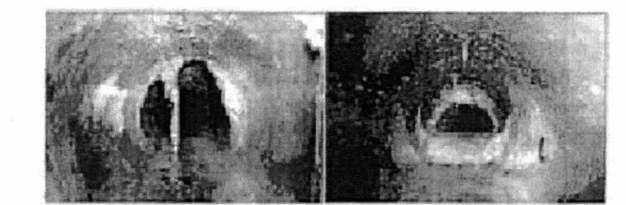 Figure 1.3: Examples of Pipeline Defects: root intrusion, and cross section blockage, [4]