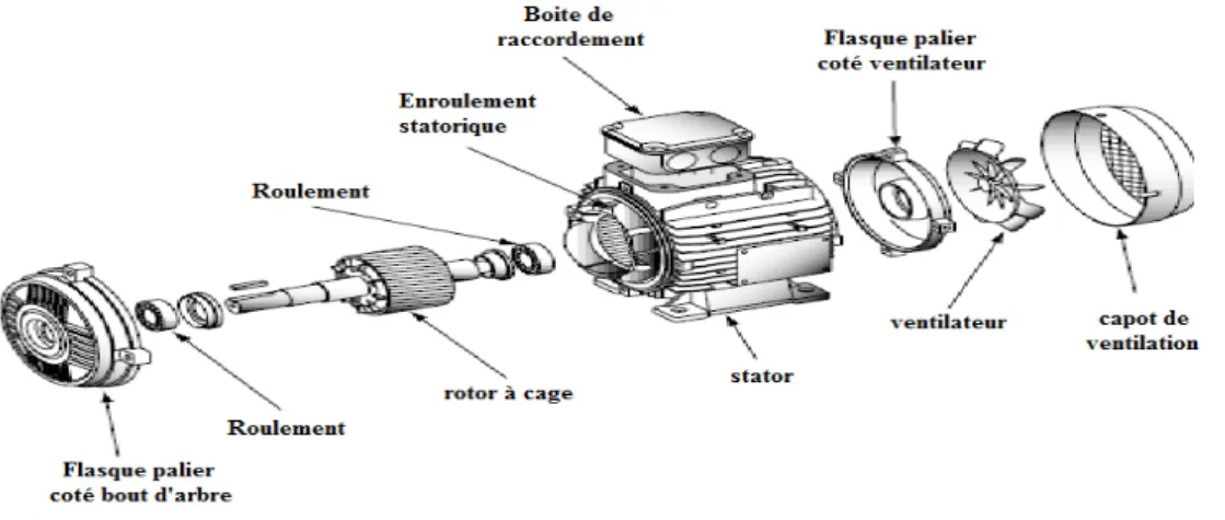 Figure II.1 : Représentation de la construction de moteur « à cage d’écureuil ». 