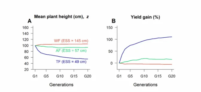 Figure 4 | Selection efficiency. We modeled the evolution of plant height (A) and we measured the  yield gains (B) realized after 20 generations with the three selection strategies (WF in red, AF in green and TF in blue)