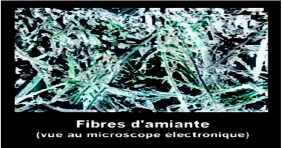 Figure II. 1: Vue microscopique de fibres d’amiante [14] 