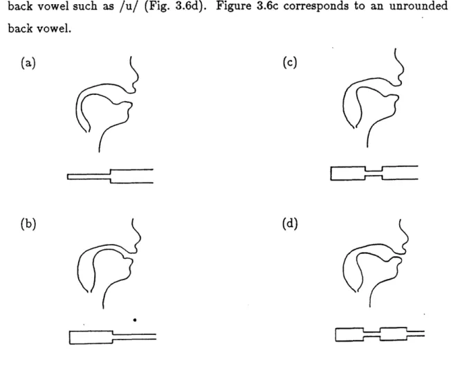 Figure  3.6:  Idealized  vocal-tract  configurations  with  various  constric- constric-tions:  posterior  (as  in  the  vowel  /a/),  anterior  (/i/), middle  (uI),  and middle  and  lips  (/u/).