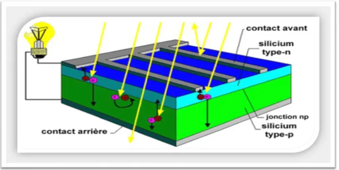 Figure n° I.4 : Cellule photovoltaïque [12]. 