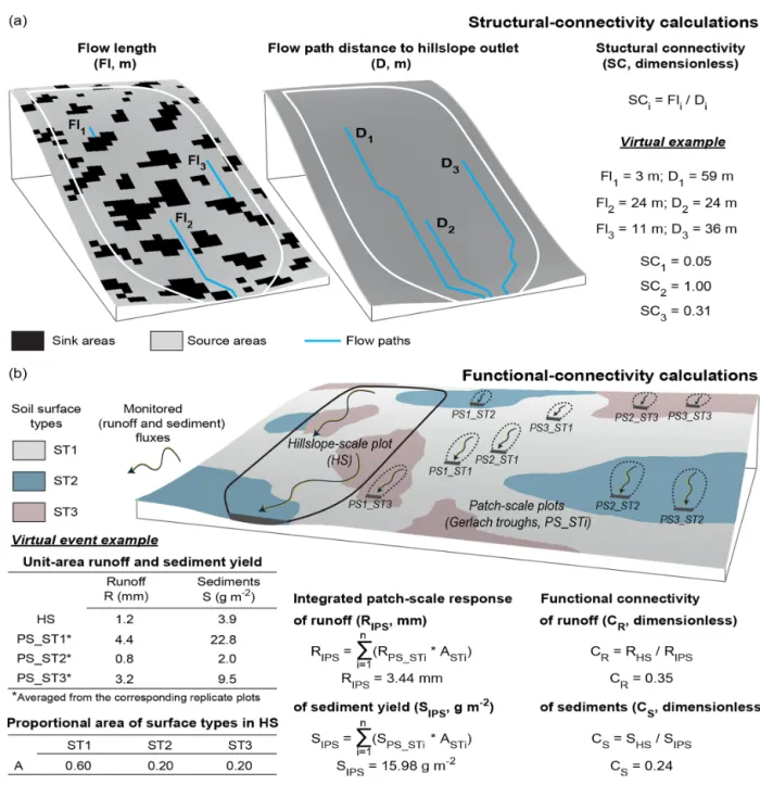 Figure 2. Schematic representation and virtual examples of the calculations for the quantification of (a) structural connectivity (SC) and (b) the functional connectivity of both runoff (C R ) and sediments (C S )