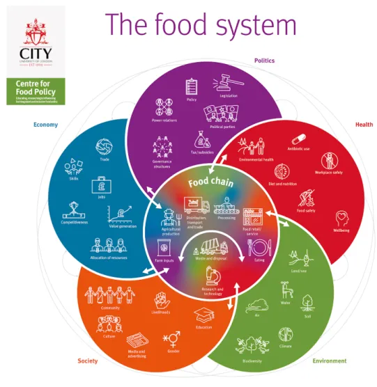 Figure 1. Mapping the food system (Parsons et al., 2019)