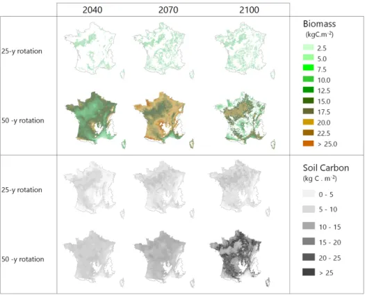 Figure 6. Biomass and soil carbon stocks of maritime pine stands simulated over the entire French metropolitan area for two management alternatives under climate scenario RCP 4.5