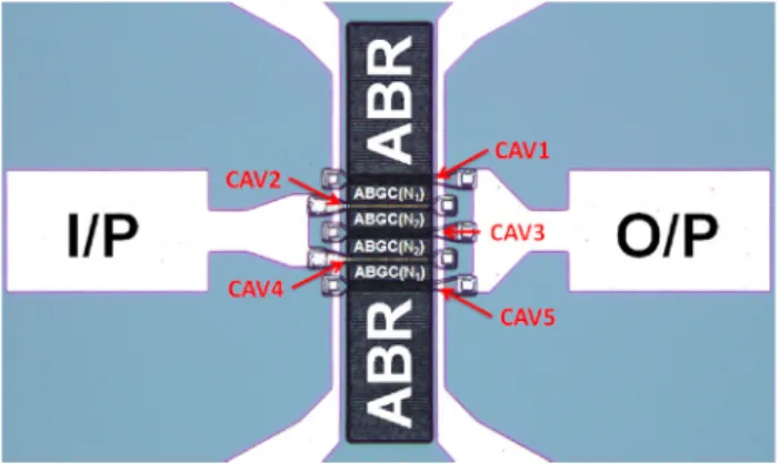 Fig. 14 Optical micrograph of a five coupled cavities design in the h110i direction, with the ABR, ABGC(N 1 ), ABGC(N 2 ) and CAV regions labeled