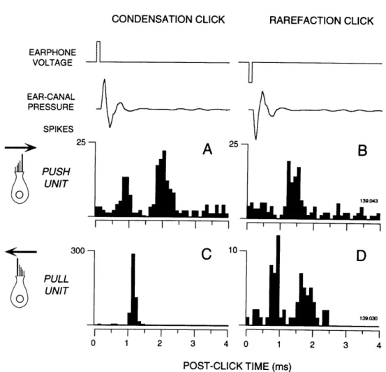 FIGURE  1-3.  Separation  of  acoustically  responsive  vestibular  units  into  two  classes (PUSH-PULL)  based  on  responses  to  condensation  and  rarefaction  clicks