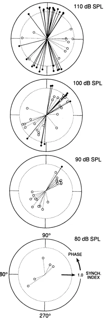 FIGURE I-10.  Polarization  of acoustically responsive  vestibular  units  into  two  classes based  on  response  phases  to  tonal  stimuli.
