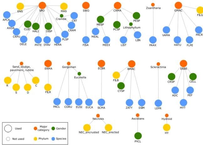 Figure 4 Classes of coralligenous taxa, hierarchically organised. Each network represents a major category (orange) linked to related phylums (yellow), genders (green) and species (blue)