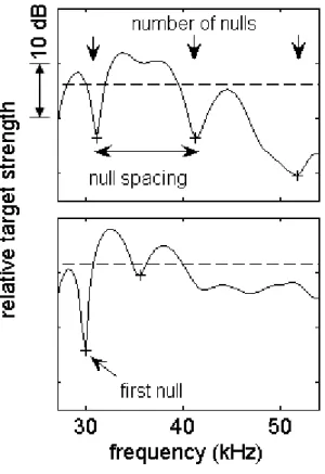 Figure 2-3: Example of automated structure analysis results. Plus signs indicate nulls and horizontal dashed lines indicate mean target strength of frequency band displayed