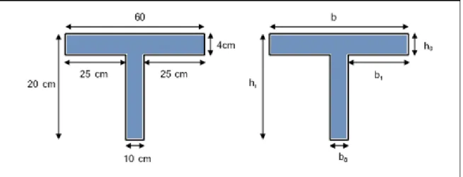 Figure II.2   Schéma d’une poutrelle  h t  : La hauteur de la nervure h t  = 20 cm 