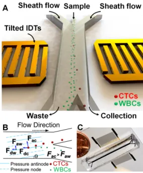 Fig. 1A illustrates the process of cell separation in a taSSAW microfluidic device. As shown in Fig