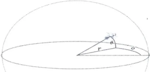 Figure  2-8:  Signal  representa- representa-tion of the shrimp in 1D vector Figure  2-7:  A  shrimp  located  in 3D  space