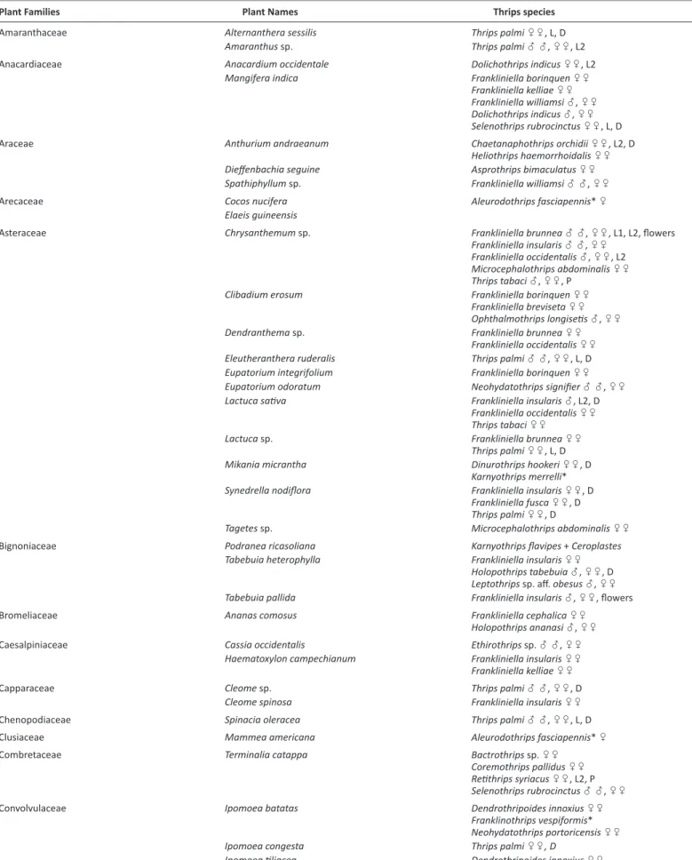 Table 1. Plants from which thrips have been collected (* = predators; D = feeding damage; L = larva; Pp = propupa; P = pupa; /,  = low/high (at least 5  individuals) population of males and females.