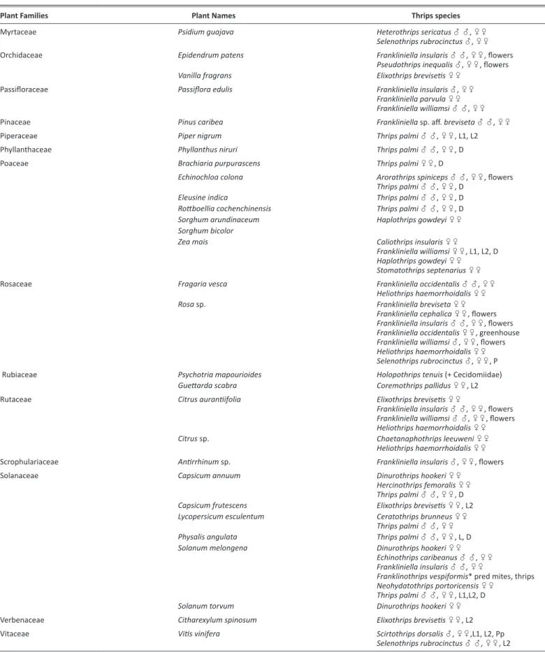 Table 1. (Continued) Plants from which thrips have been collected (* = predators; D = feeding damage; L = larva; Pp = propupa; P = pupa; /,  = low/high  (at least 5 individuals) population of males and females.