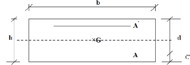 Figure III.2: section de calcul d’acrotère      h : Epaisseur de la section : 10 cm. 