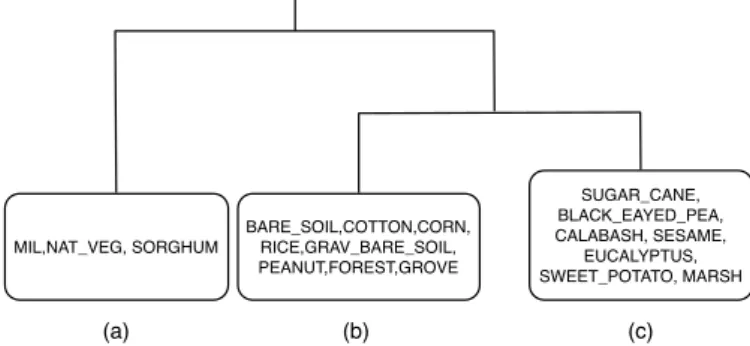 Figure 3: Two levels of the CAV T over the type of cultivations         