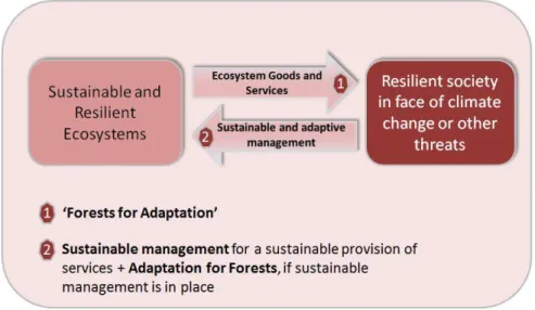 Figure 4. Forests for Adaptation, Adaptation for Forests  