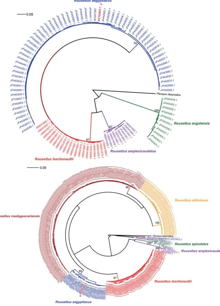 Figure 2. Maximum likelihood phylogenies inferred from mitochondrial cox1 (a) and cytb (b) genes sequences available for the genus Rousettus.