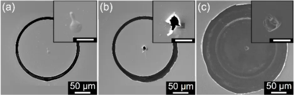 FIG. 3.  Post–mortem SEM micrographs for three different excitation fluences: (a) 1.3 J/cm 2 , (b) 2.5  J/cm 2 , and (c) 38.2 J/cm 2 