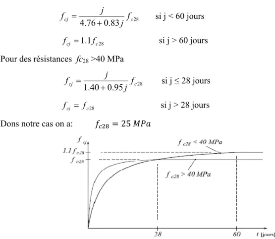 Figure 1.2.Evolution de la résistance     en fonction de l’âge du béton. 