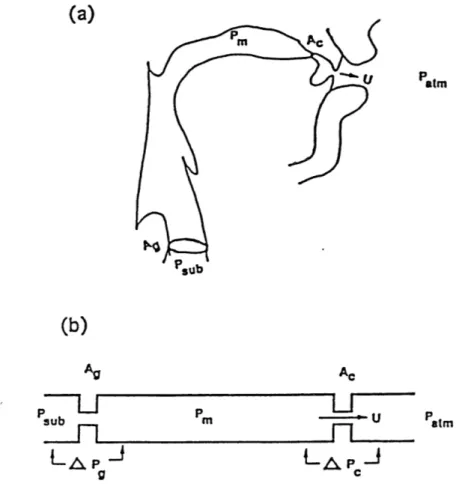 Figure 2.1a) Midsagittal  cross-section  of  a vocal  tract vocal-tract model  for an alveolar  fricative