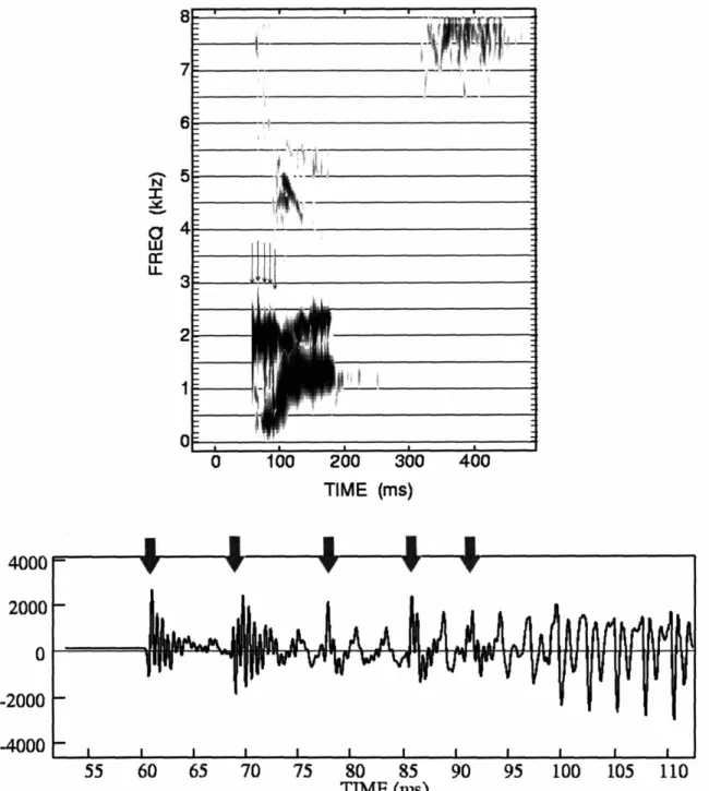 Figure 10. Spectrogram and waveform of a child speaking the word &#34;Gus&#34;. Arrows point to each burst recorded for this utterance.