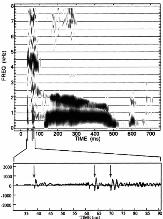 Figure 11. Spectrogram and waveform of the word &#34;tub&#34; spoken by a child. Arrows point to each burst recorded for this utterance.