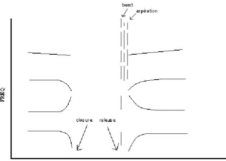 Figure 1.  Sample schematized spectrogram showing the closure and  release of a consonant, the burst, the aspiration noise, and the formant  transitions in the following vowel