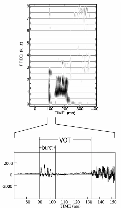 Figure 5.  Spectrogram and corresponding waveform of a 2;6-year-old child’s production of the word 