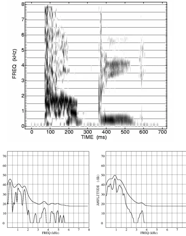 Figure 7.  Spectrogram and spectra of the word “puppy” spoken by a 3;0-year-old boy.  The spectrum on  the left was produced using a window centered on the first glottal period at voice onset (~195 ms in the  spectrogram shown)