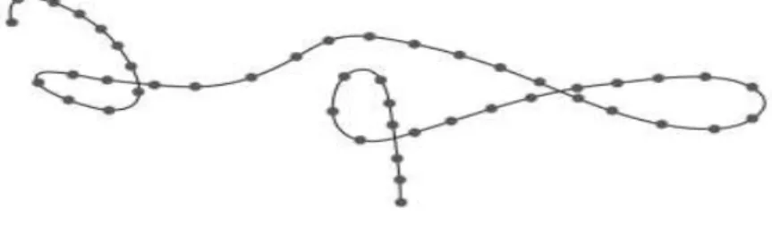 Figure I.2.  Représentation de la chaîne d’un polymère linéaire [5].
