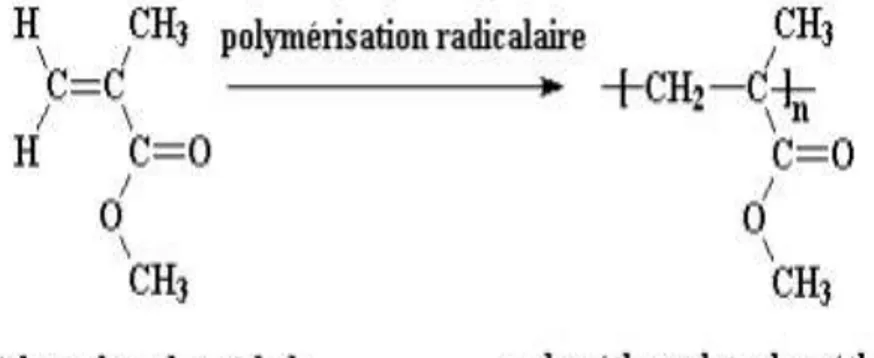 Figure II.1. Polymérisation radicalaire du MAM [14]. 