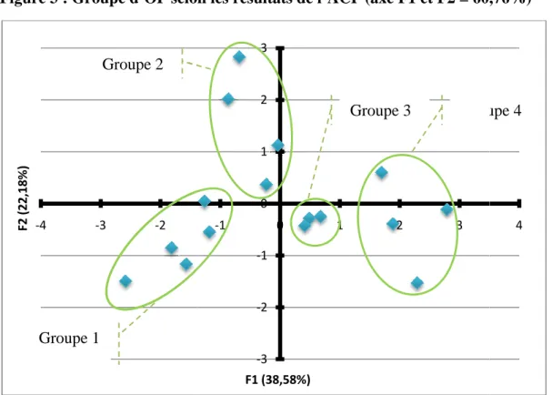 Figure 3 : Groupe d’OP selon 