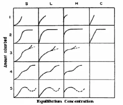 Figure I.10 : Classification de Gilles et coll [39] 