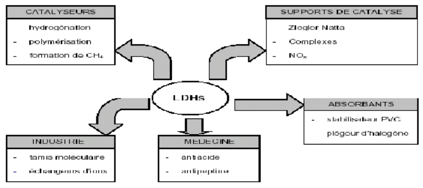 Figure I.9 : Applications des Hydroxydes doubles lamellaires 