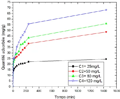 Figure III.5 : effet du temps de contact sur l'adsorption d'acide gallique en solution aqueuse par l’HDL
