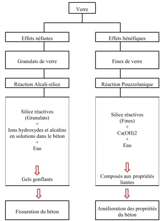 Figure  0-1: Schéma récapitulatif illustrant les deux réactions : alcali-silice et pouzzolanique  Selon  Federico  et  Chidiac,  et  Jin  et  al