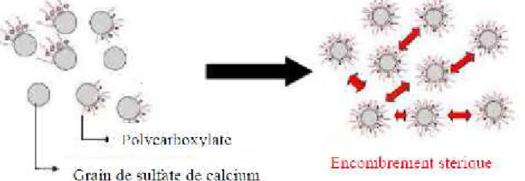 Figure 11 : Dispersion des grains de sulfate de calcium par l’encombrement stérique [7]