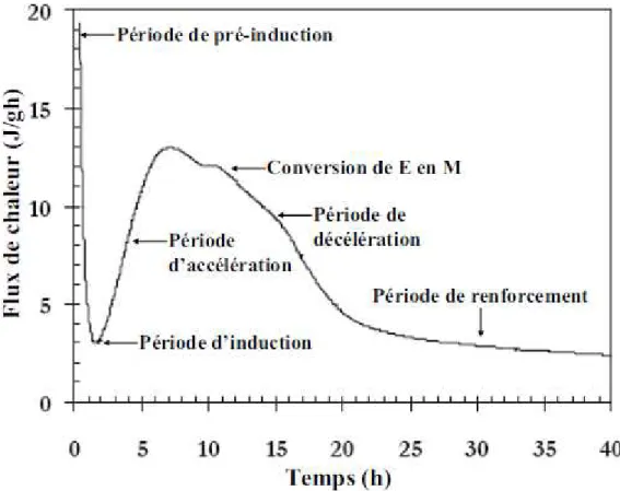 Figure 15: Thermo gramme de l’hydratation d’un ciment Portland montrant les cinq périodes du processus (E = ettringite, M = monosulfate) [7].